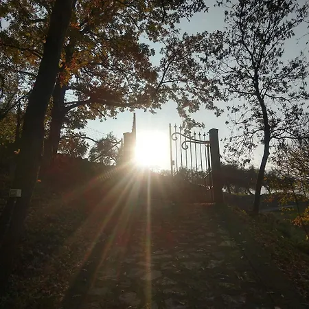 Oasi Delle Querce Casa Nel Bosco Vista E Comfort A * Monte Isola