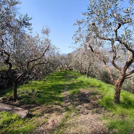 Oasi Delle Querce Casa Nel Bosco Vista E Comfort A Сasa de vacaciones *