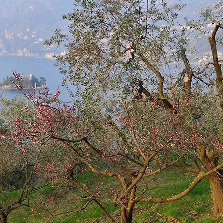 Сasa de vacaciones Oasi Delle Querce Casa Nel Bosco Vista E Comfort A *